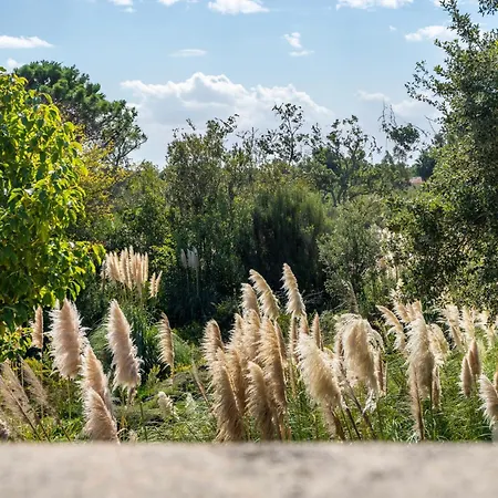 Résidence Domaine De Caranella