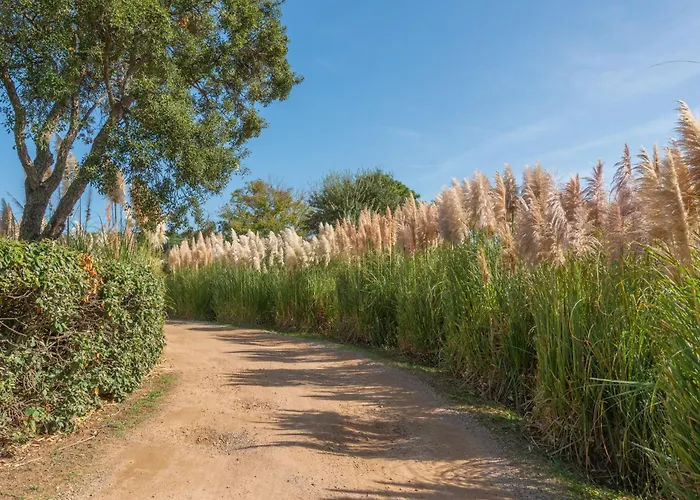 Domaine De Caranella Apart Otel 3*